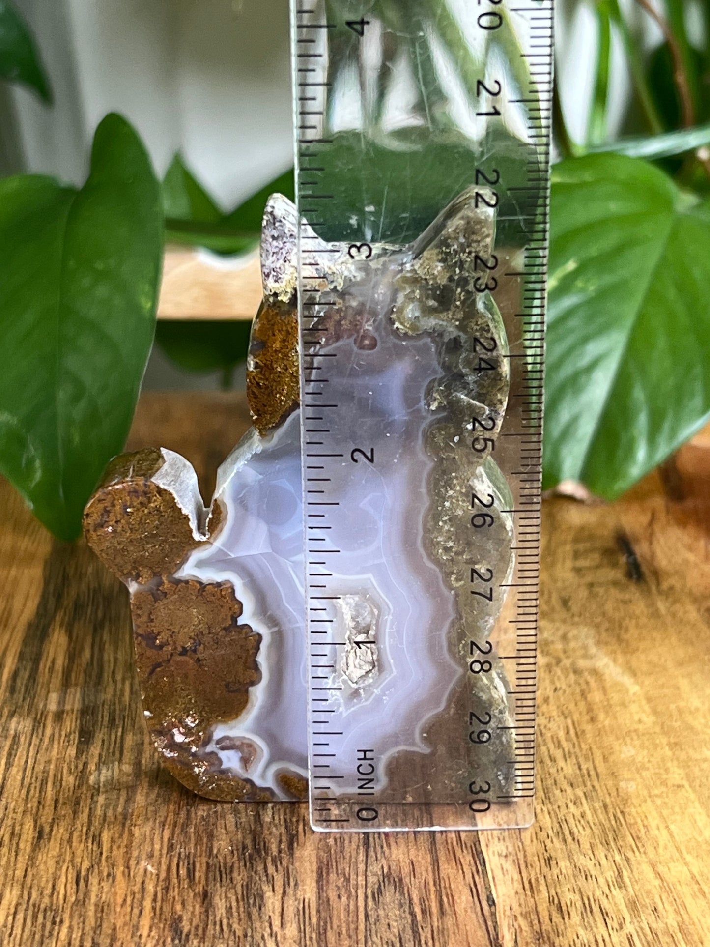 Scenic Moss Agate Cat HS