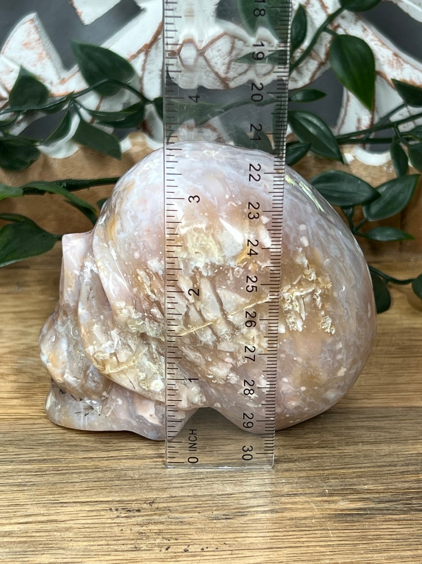 Rainbow Plume Agate Skull