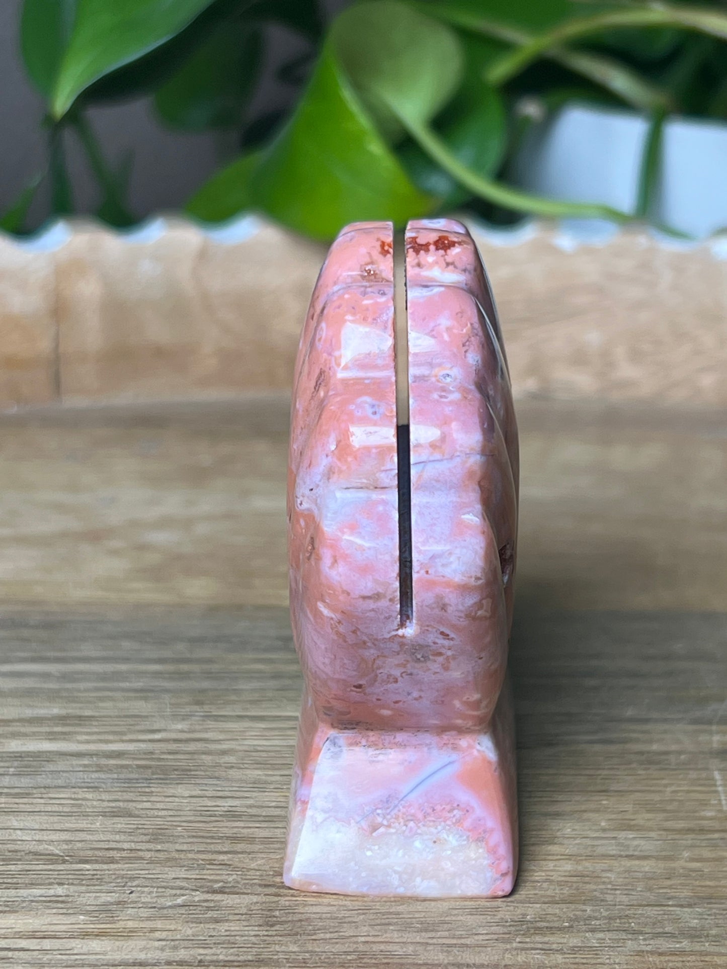 Pink Carnelian Shell