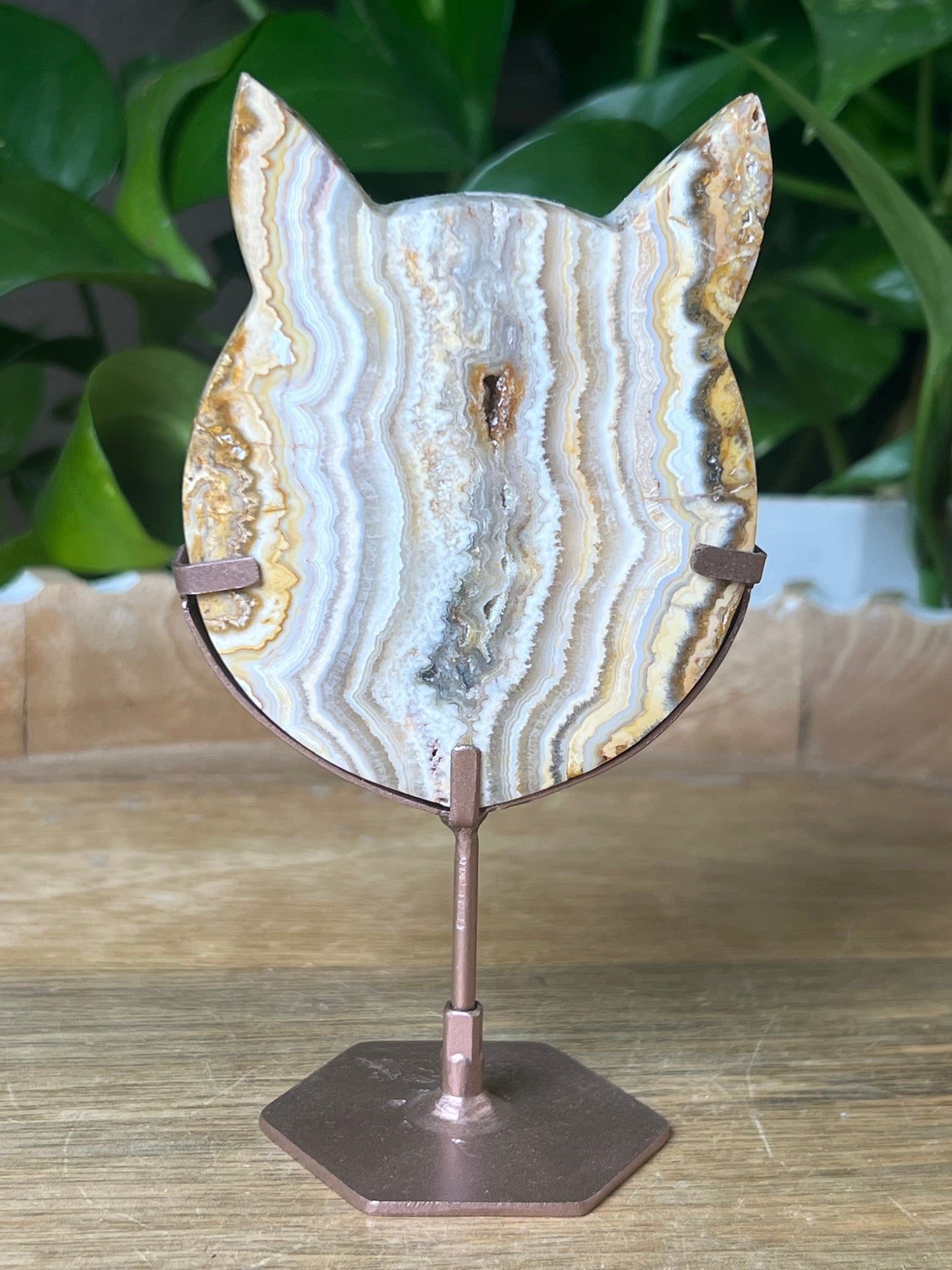 Crazy Lace Agate Cat