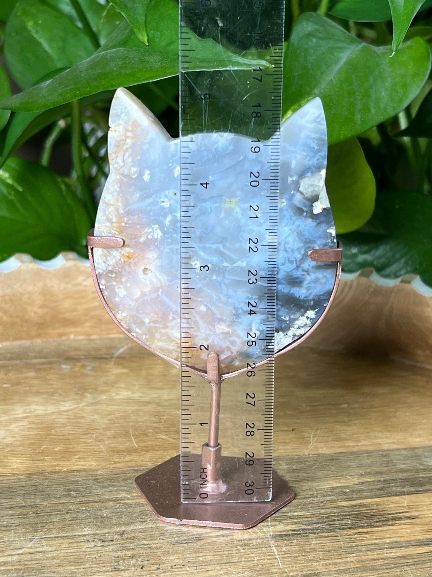 Rainbow Plume Agate Cat Head