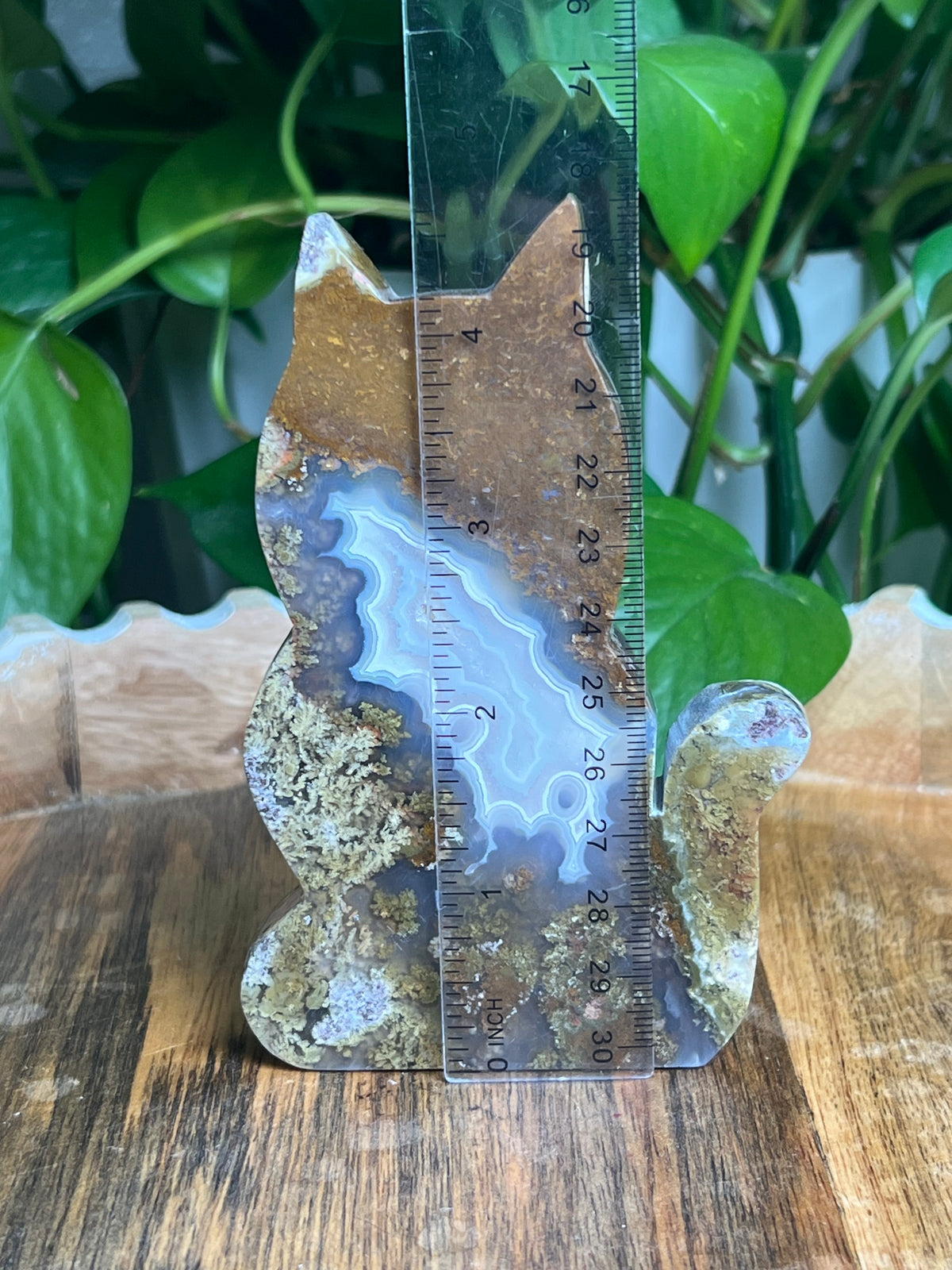 Scenic Moss Agate Cat: AB