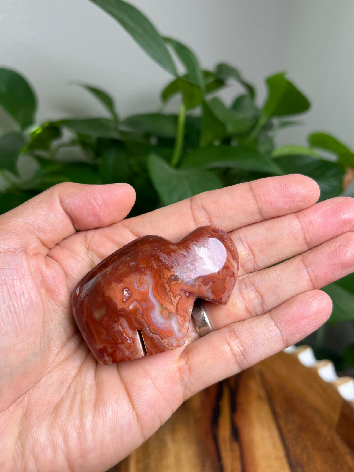 Carnelian Mini Buffalo: FK