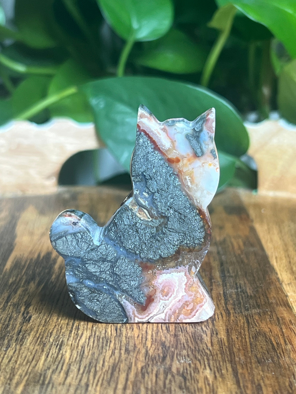 Marcasite Mini Cat: Xi