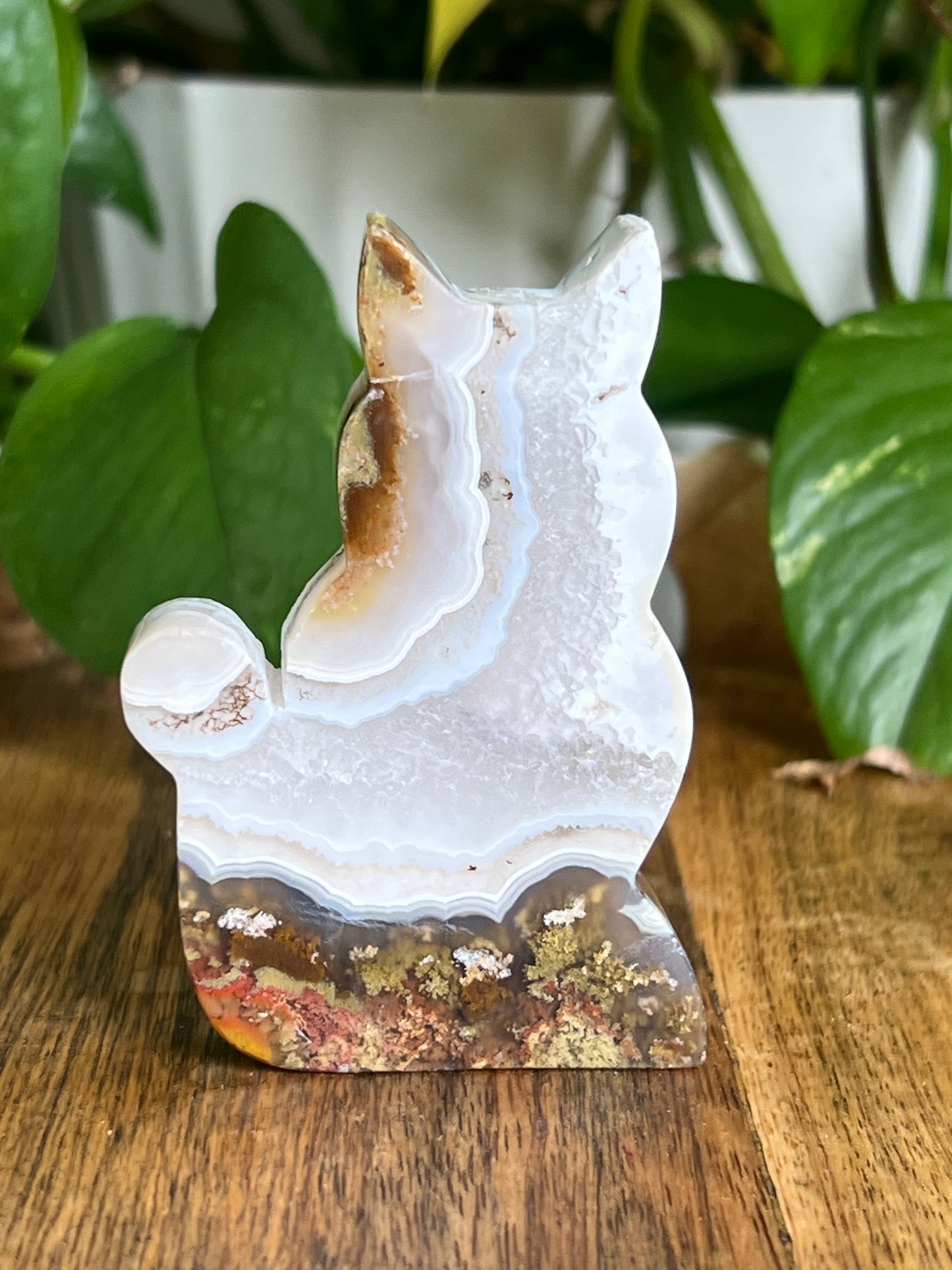 Scenic Moss Agate Cat HU