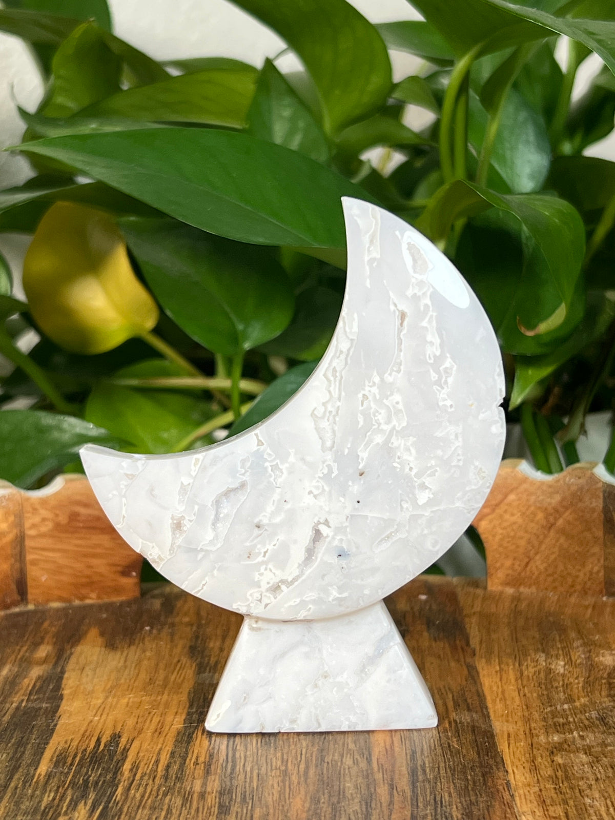 White Plume Agate Self Standing Moons