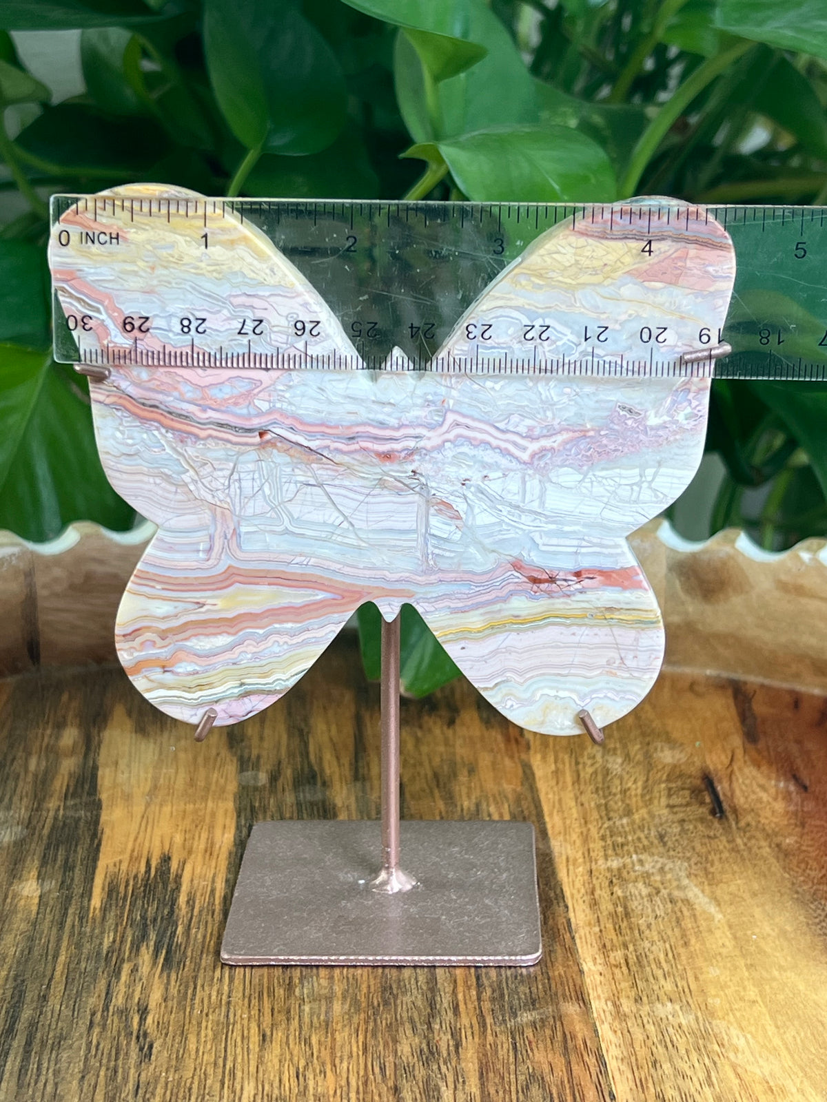 Crazy Lace Agate Butterfly: E