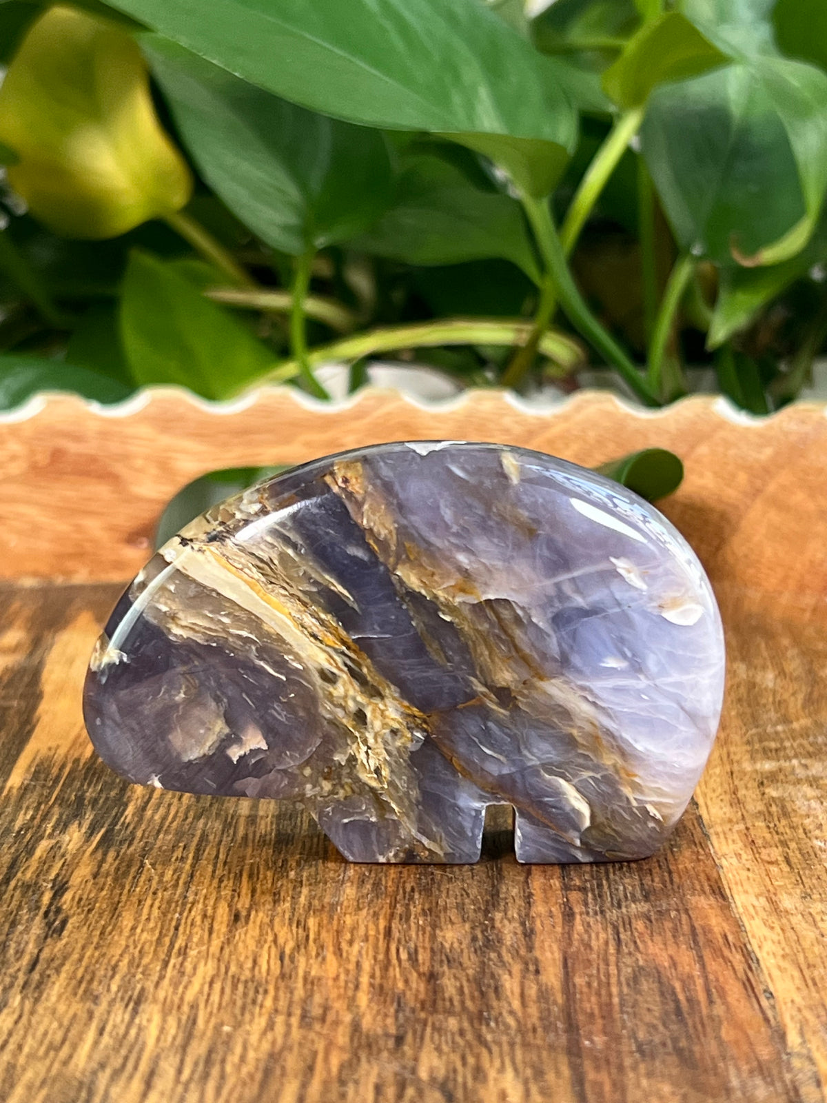 Purple Chalcedony Bear: D