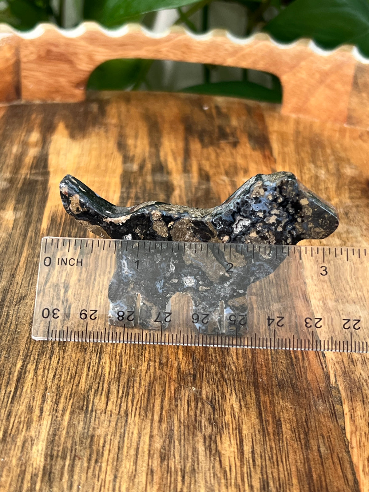 Moody Brecciated Jasper Dogs