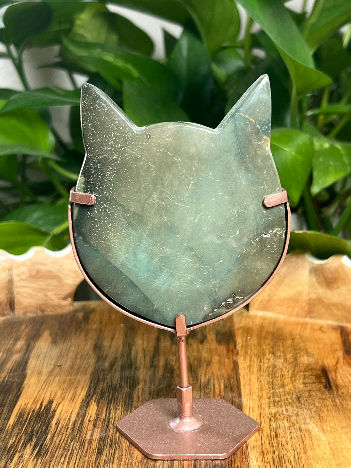 Blue Green Jasper Cat Head: NC