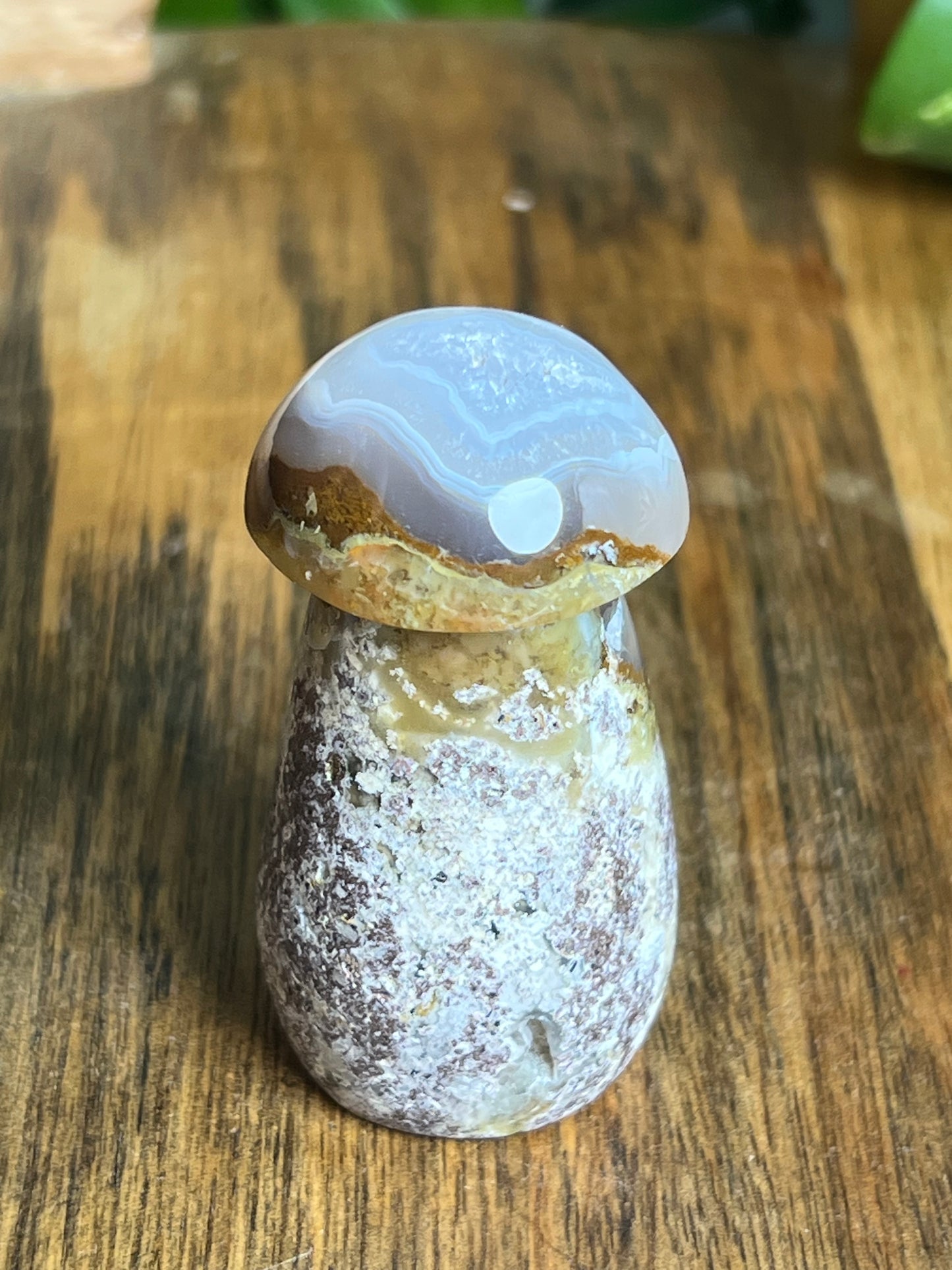 Scenic Moss Agate Mushroom