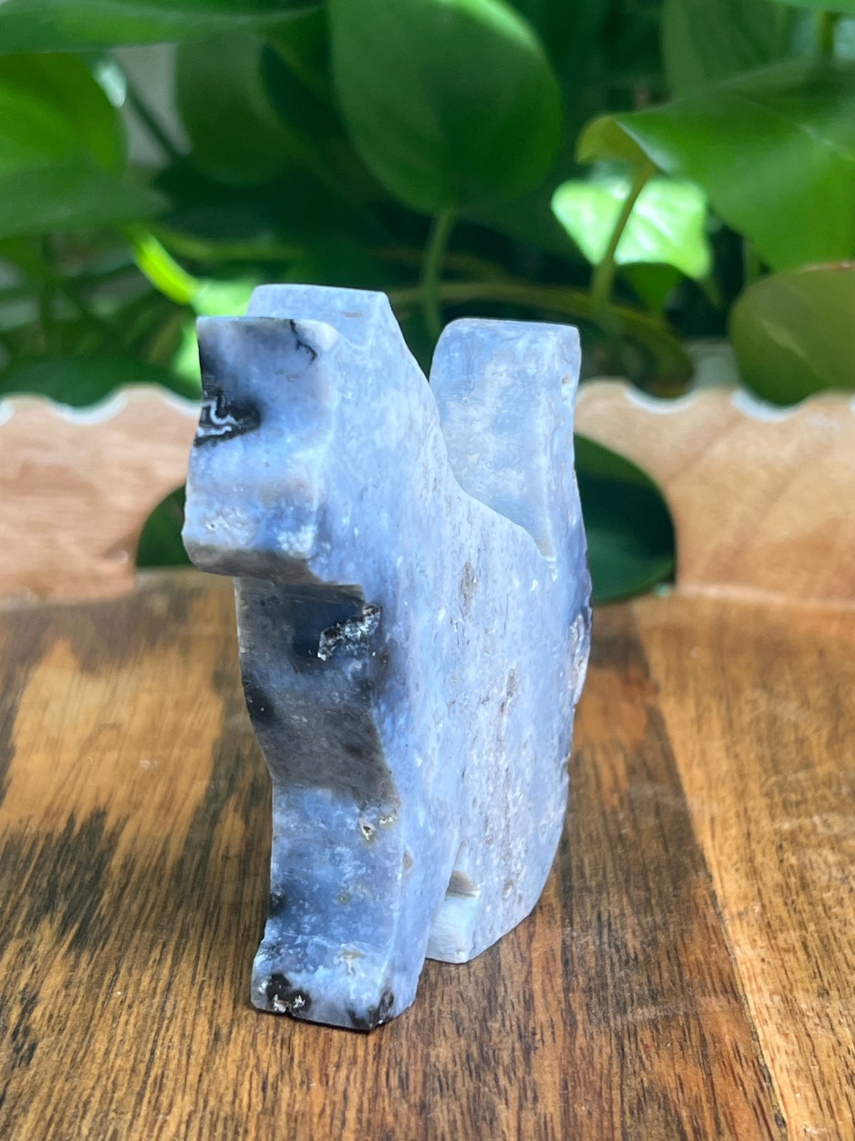 Blue Plume Agate Cat: AE