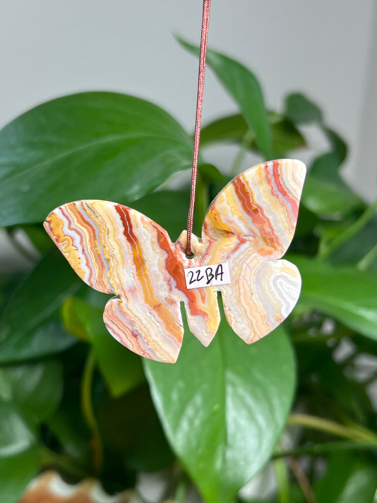Crazy Lace Agate Ornament Butterfly:  BA