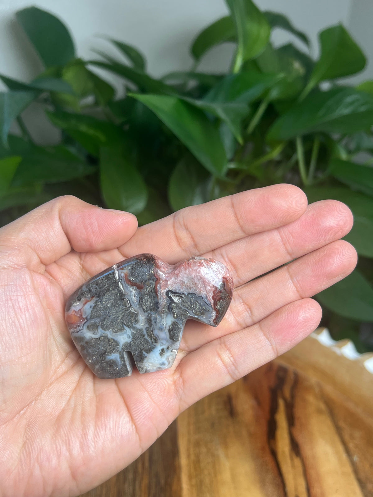 Marcasite Mini Buffalo: MC