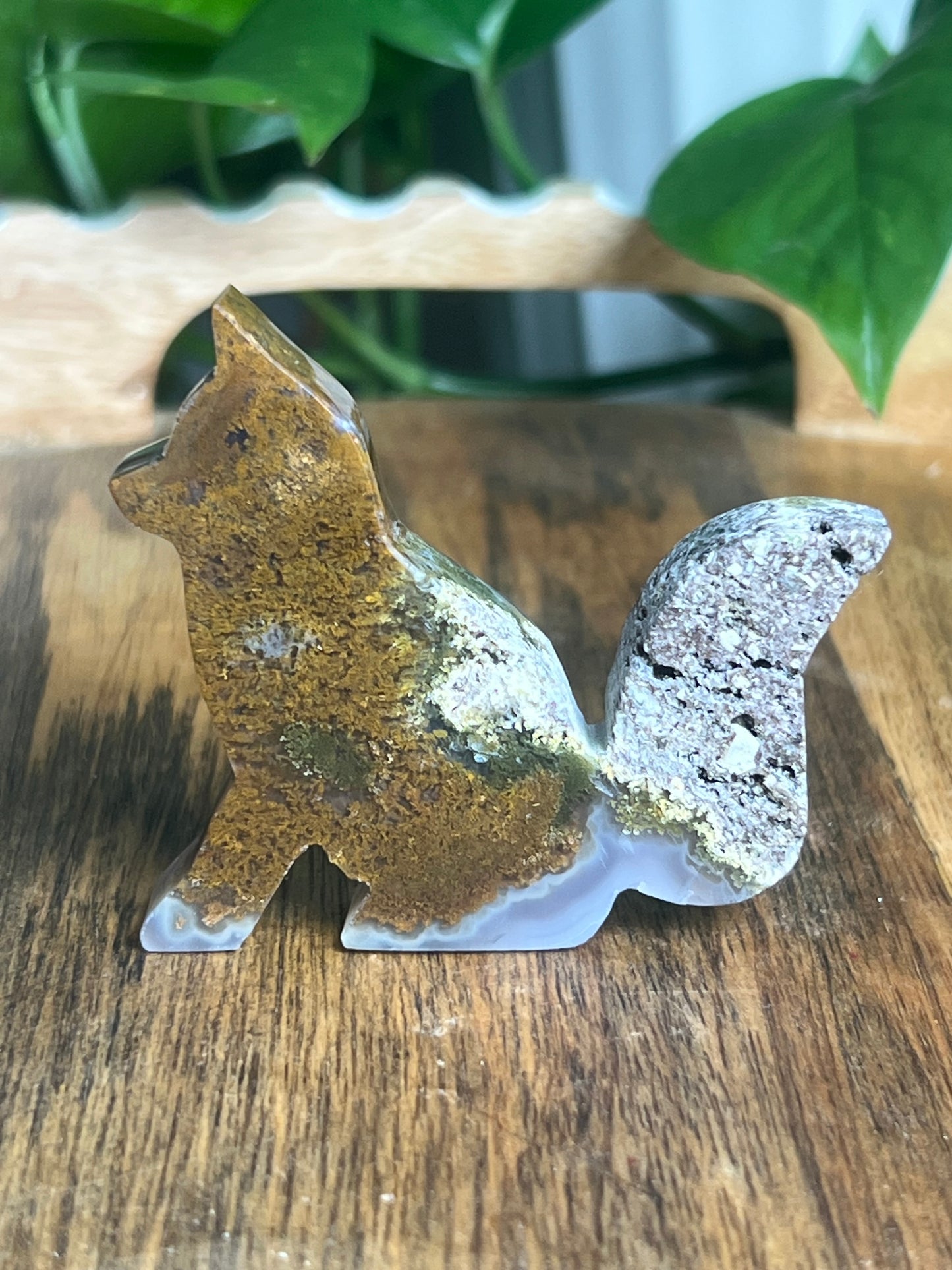 Scenic Moss Agate Fox PC
