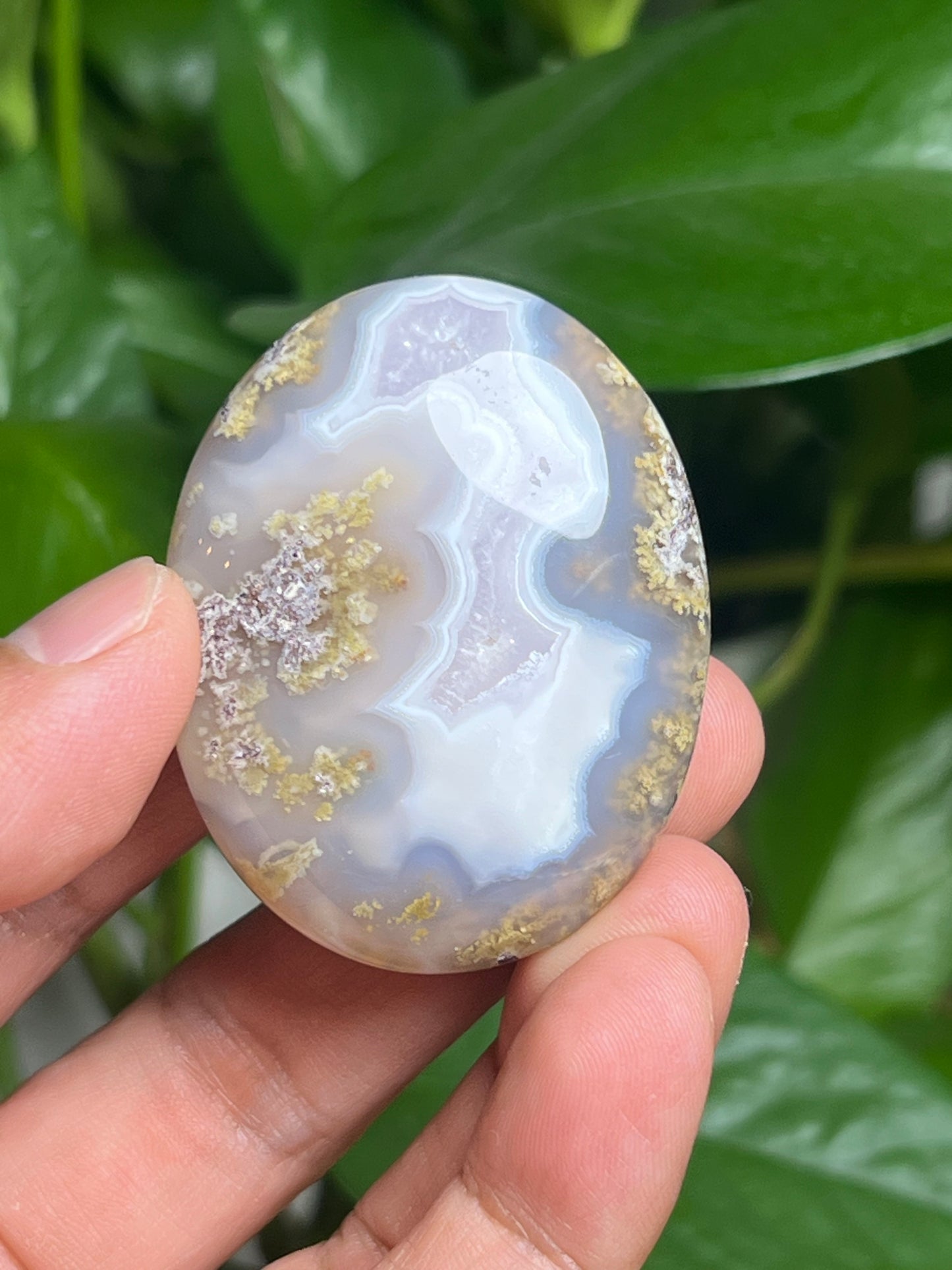 Scenic Moss Agate Palmstone: BA