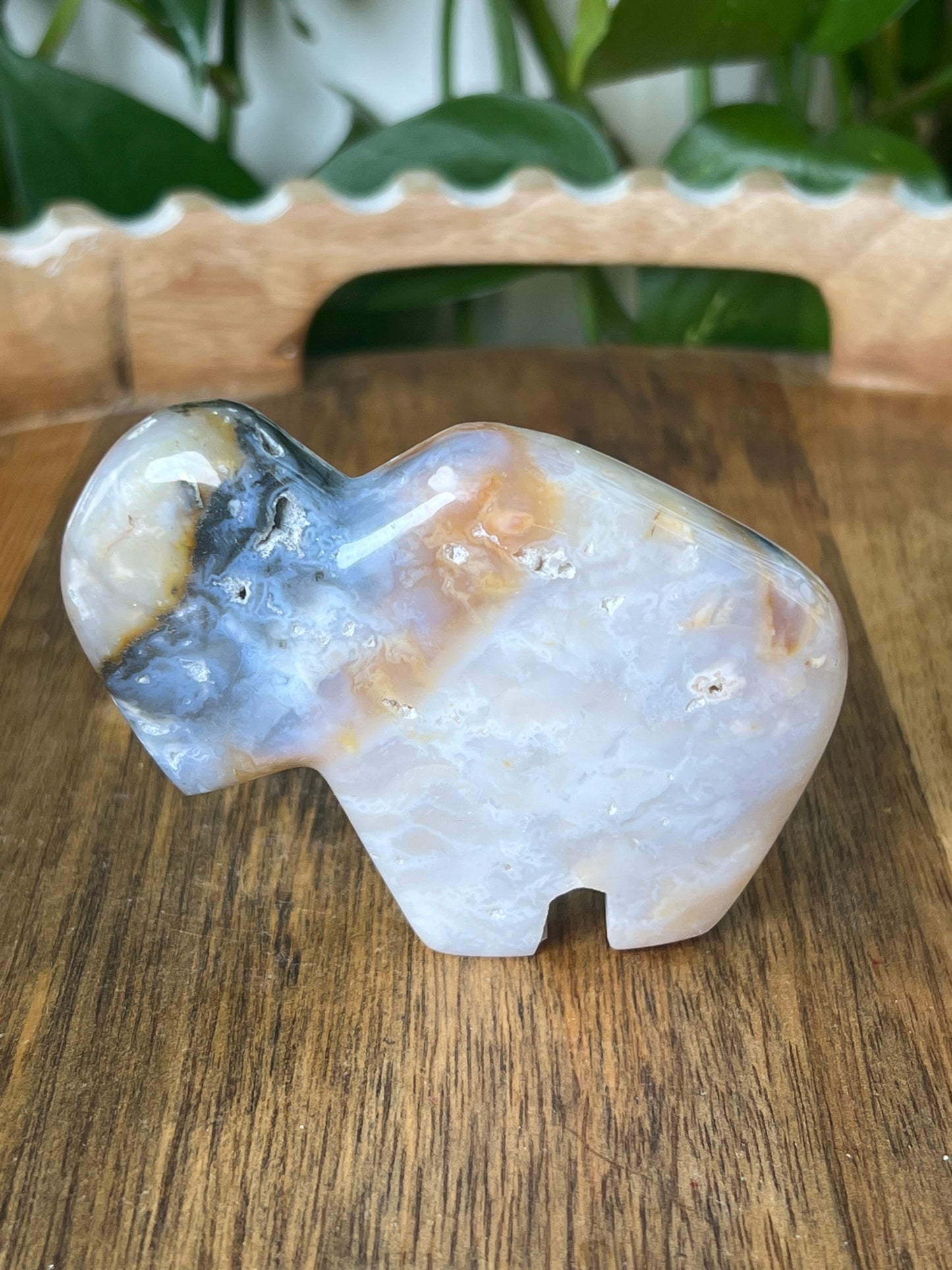 Rainbow Plume Agate Buffalo
