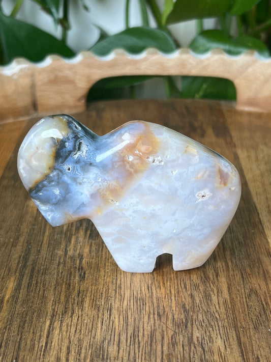 Rainbow Plume Agate Buffalo