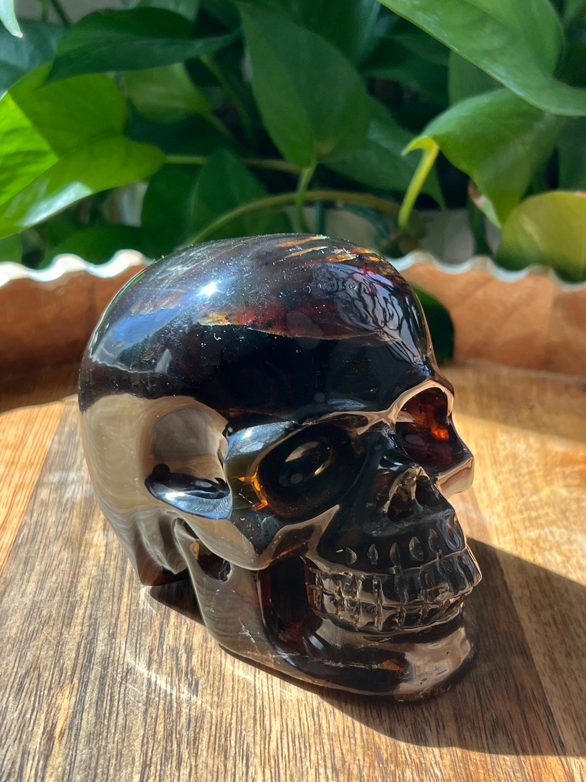Blue Amber Skull: NX