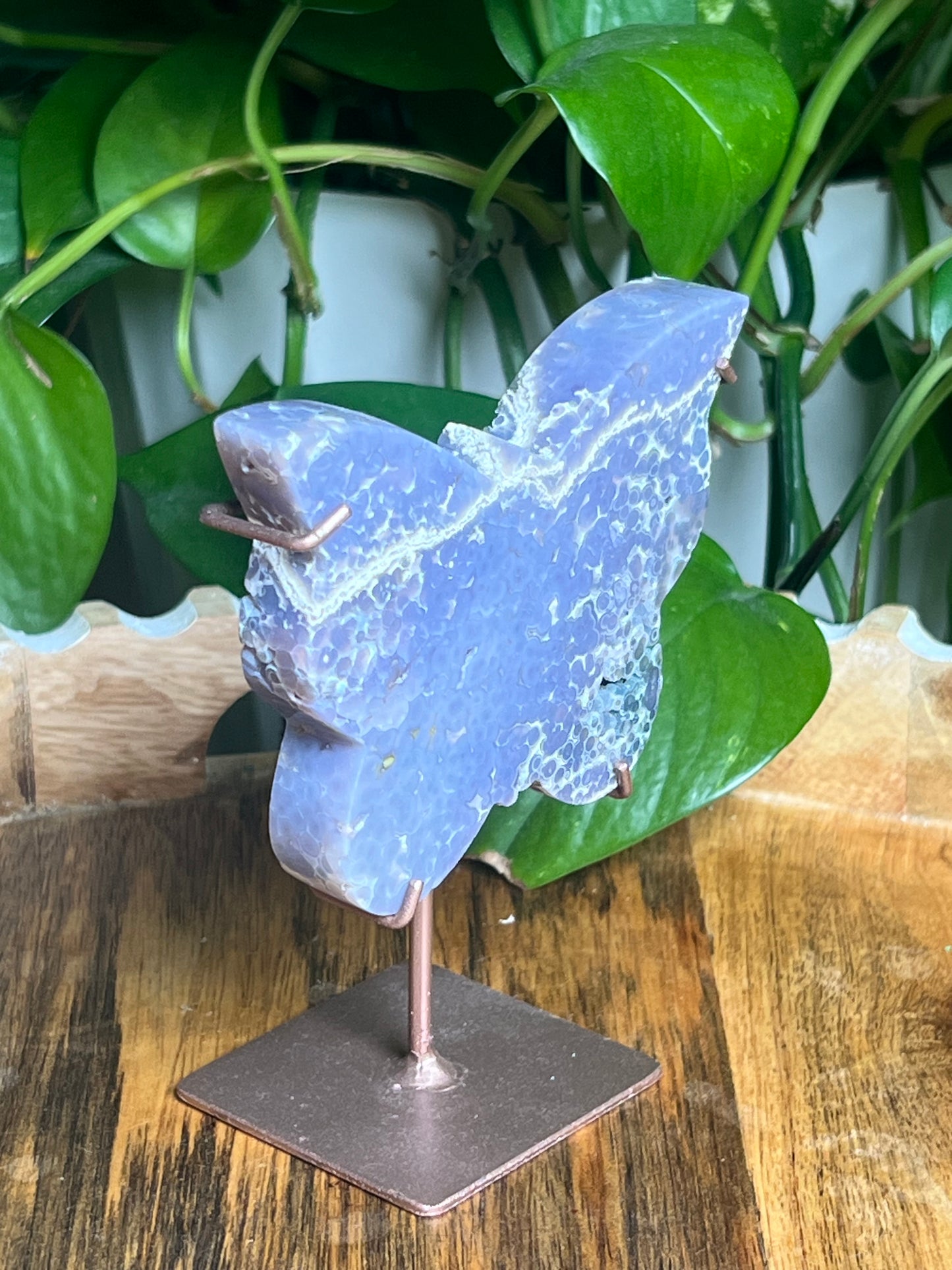 Grape Agate Butterfly: PX