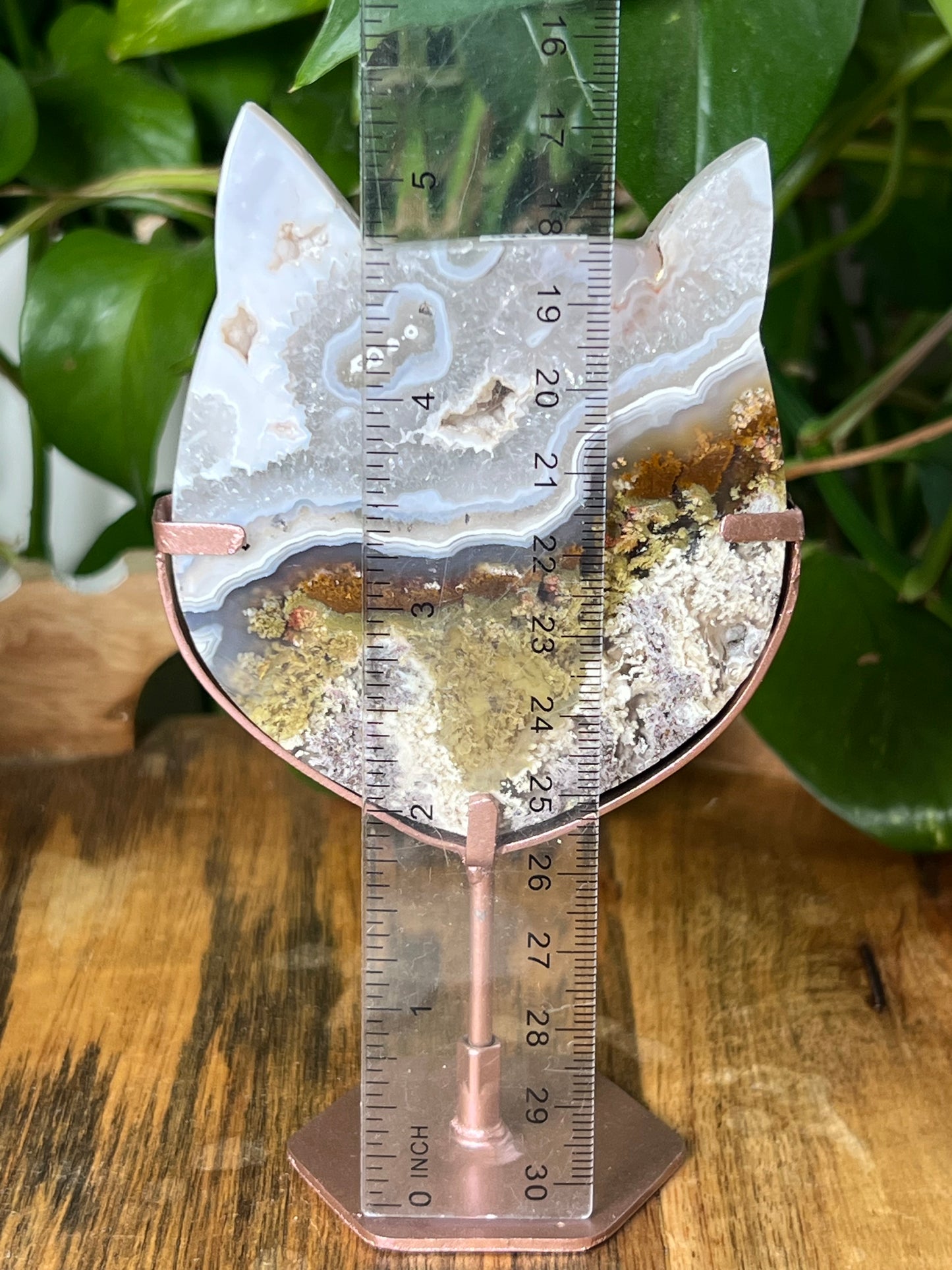 Scenic Moss Agate Cat Head