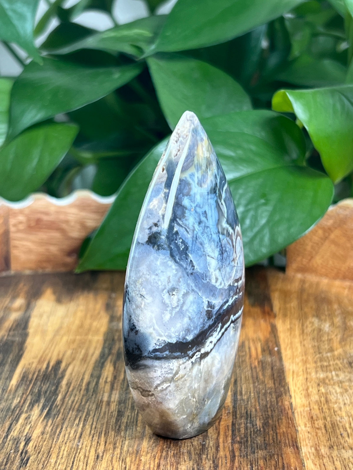 Blue Plume Agate Flame: SX