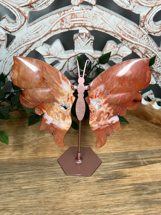 Carnelian Wings