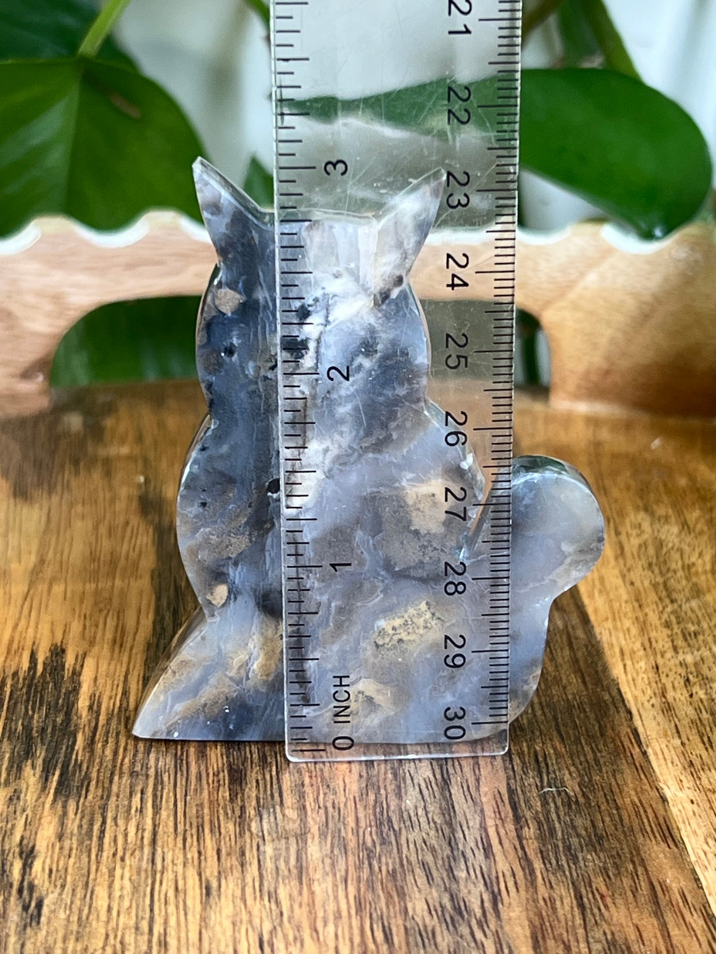Dendritic Tiger Agate Cat AB