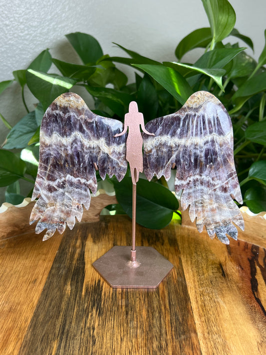 Indonesian Amethyst Wings: SE