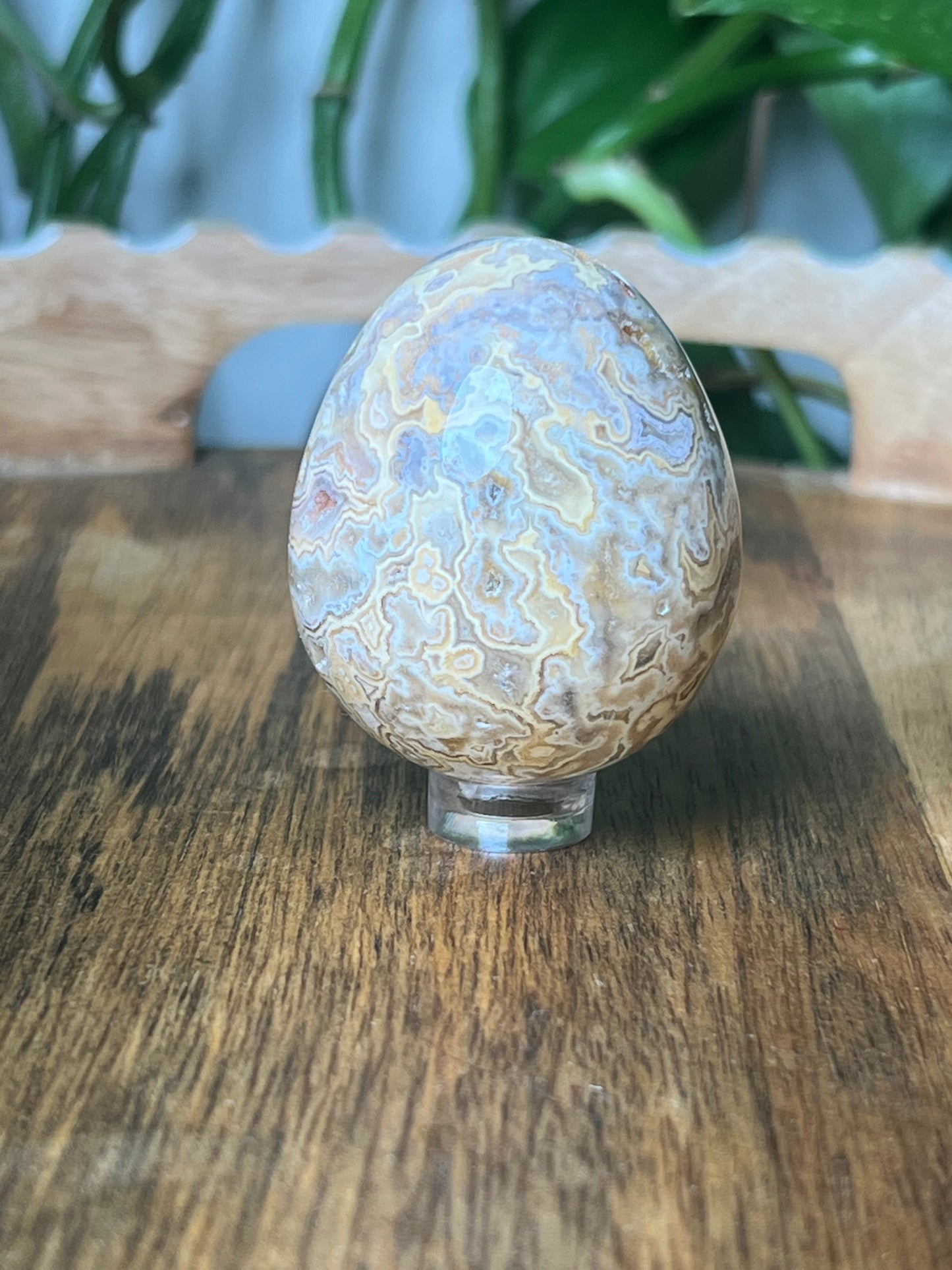 Crazy Lace Agate Egg