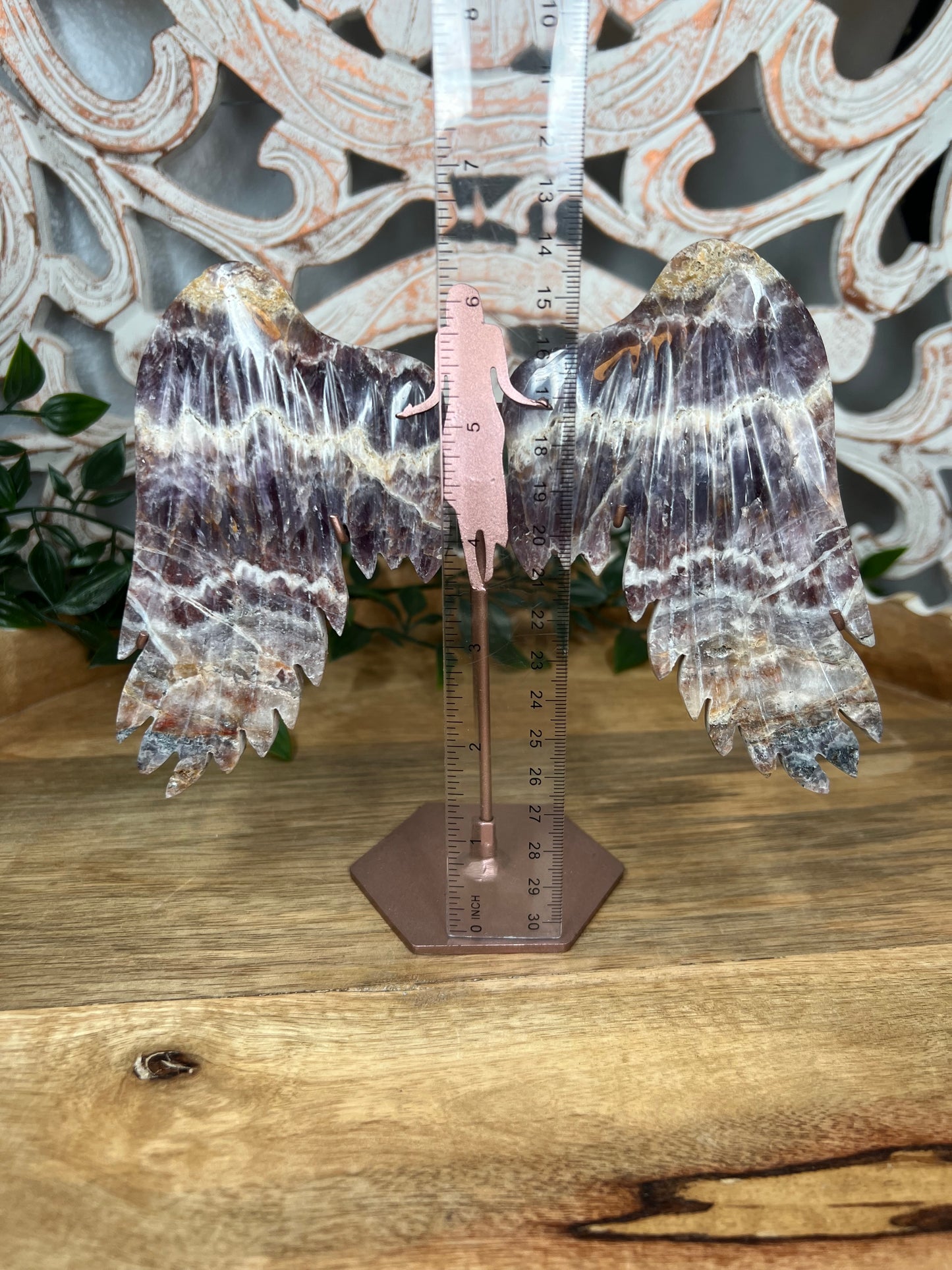 Indonesian Amethyst Wings