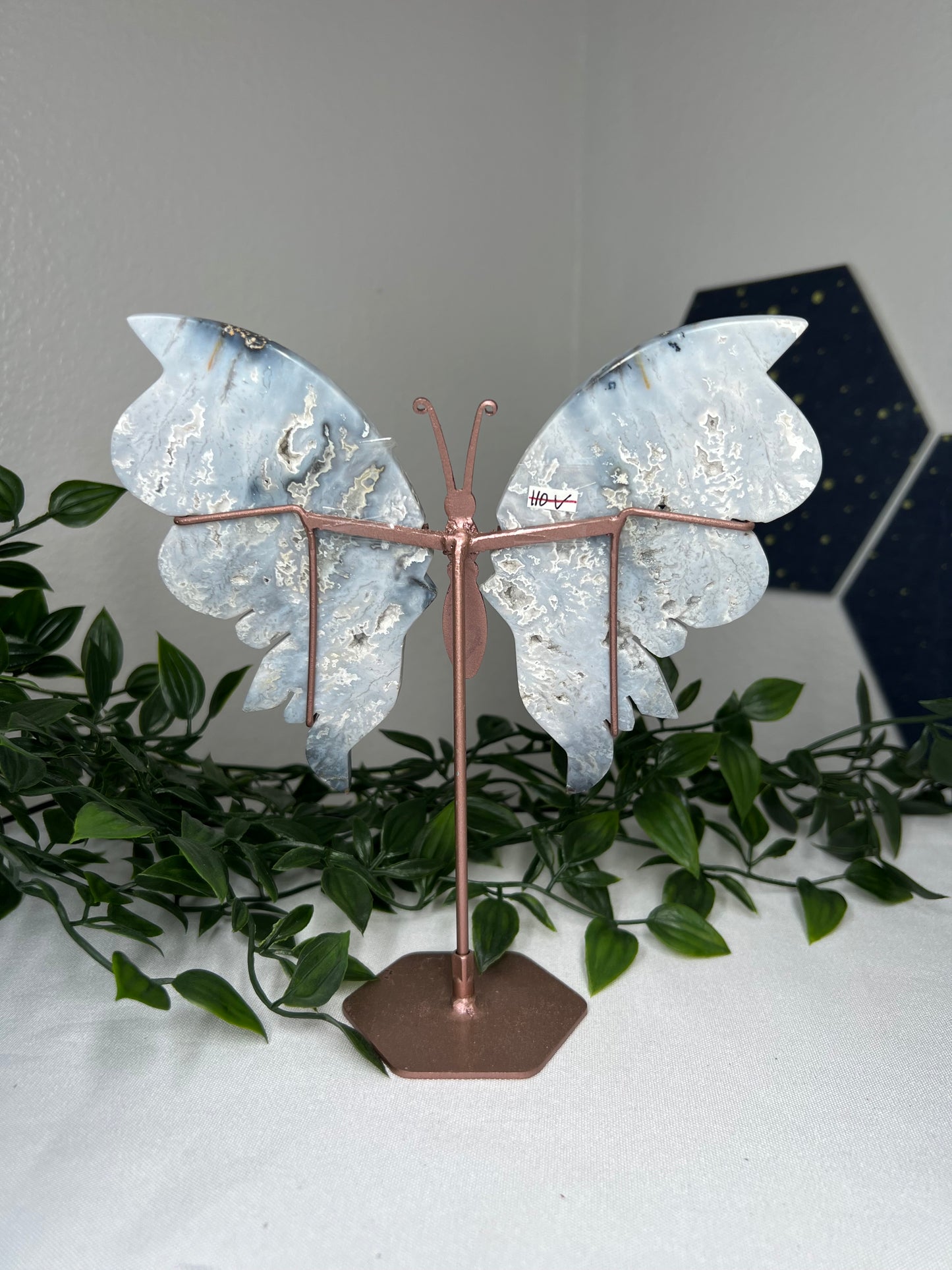 Blue Plume Agate Wings