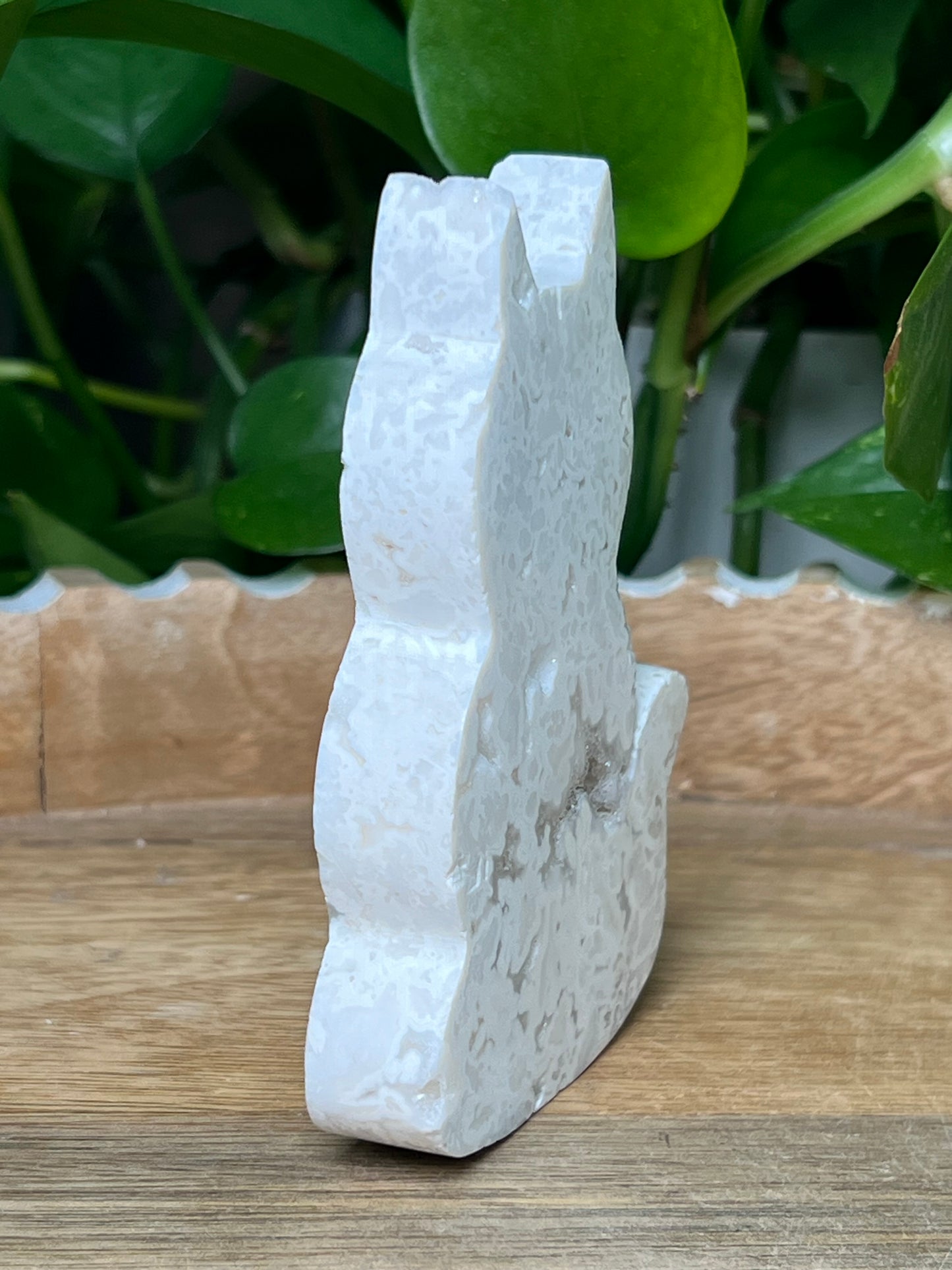 White Plume Agate Cat