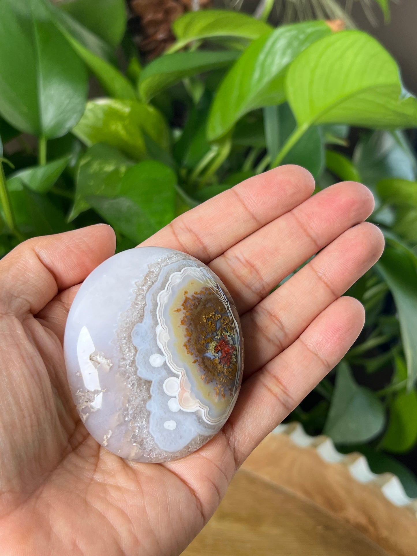 Scenic Moss Agate Palmstone