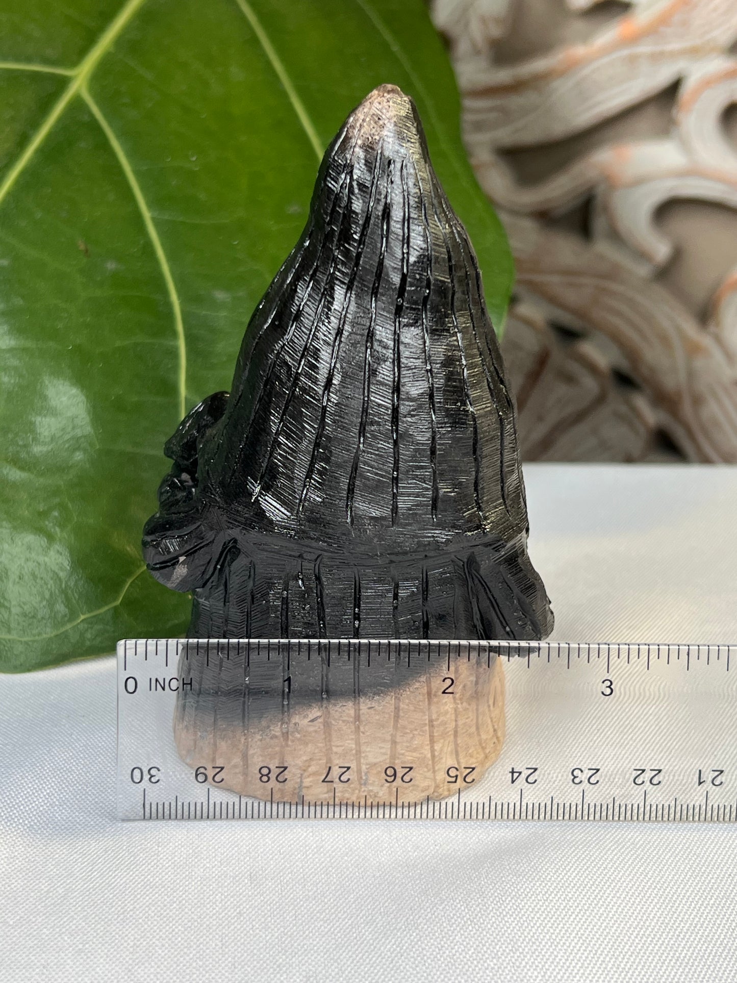Palm Root Gnome