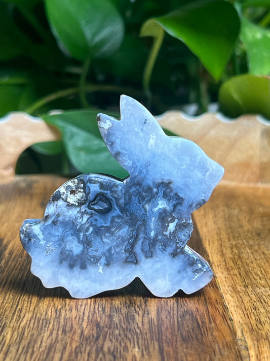 Blue Plume Agate Bunny: PB