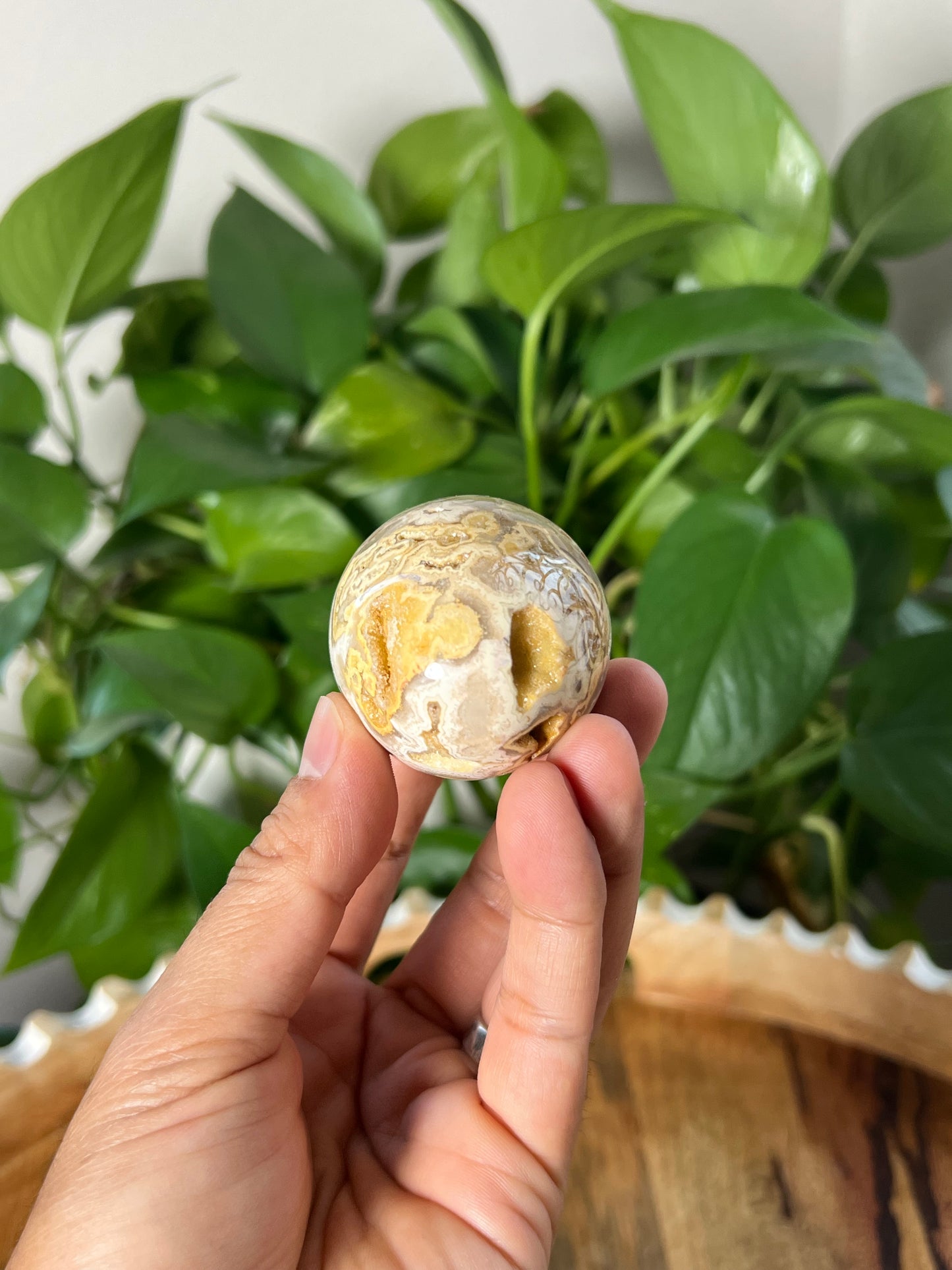 Crazy Lace Agate Egg