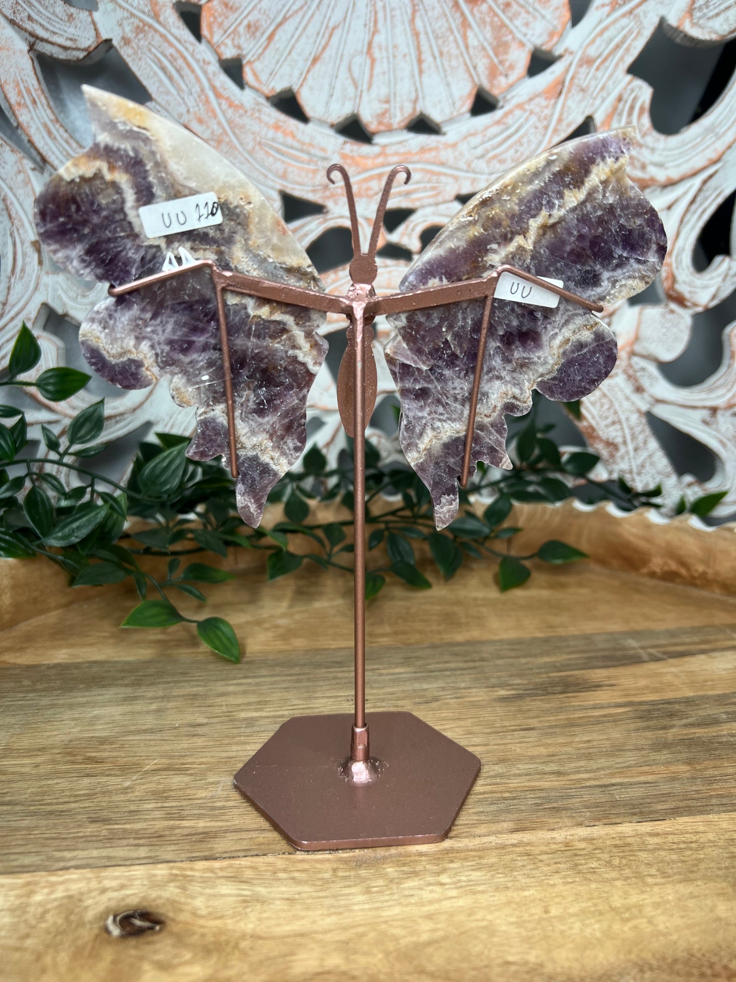 Indonesian Amethyst Wings