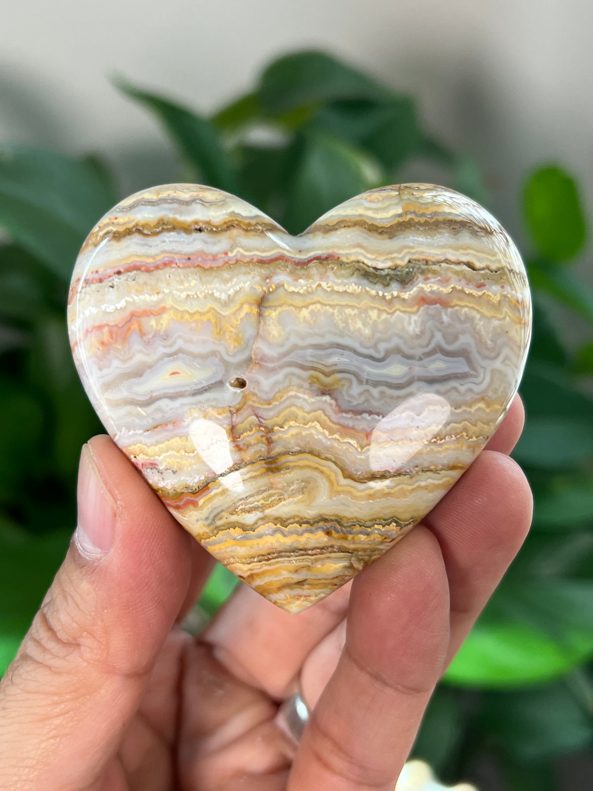 Crazy Lace Agate Small Puffy Moons