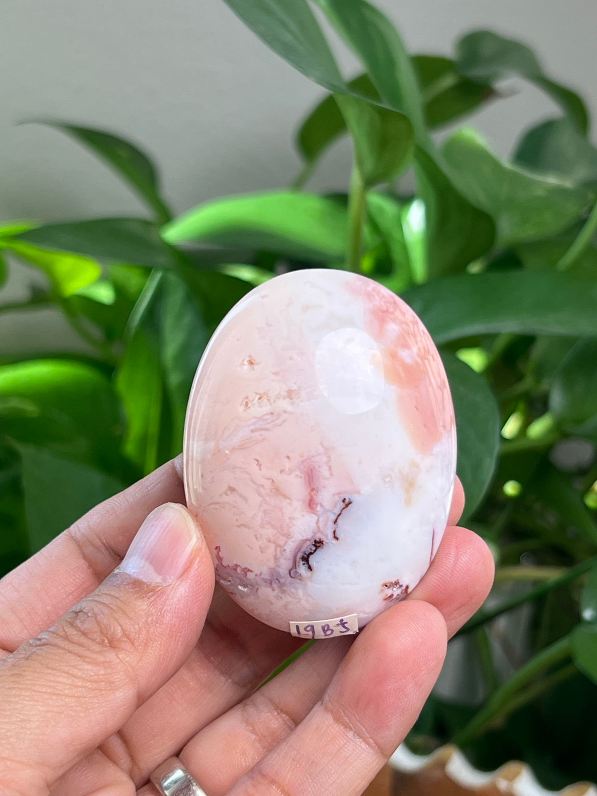Pink Carnelian Palmstone: BJ