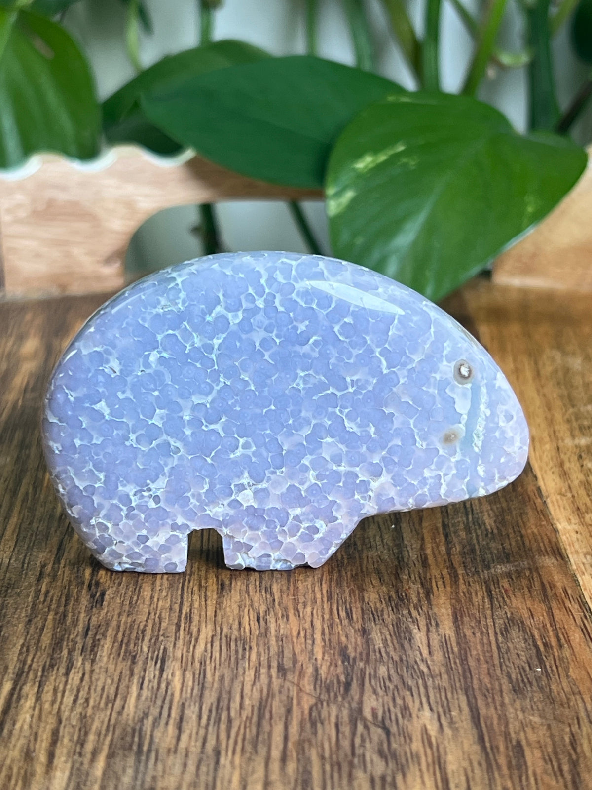 Grape Agate Bear: LM