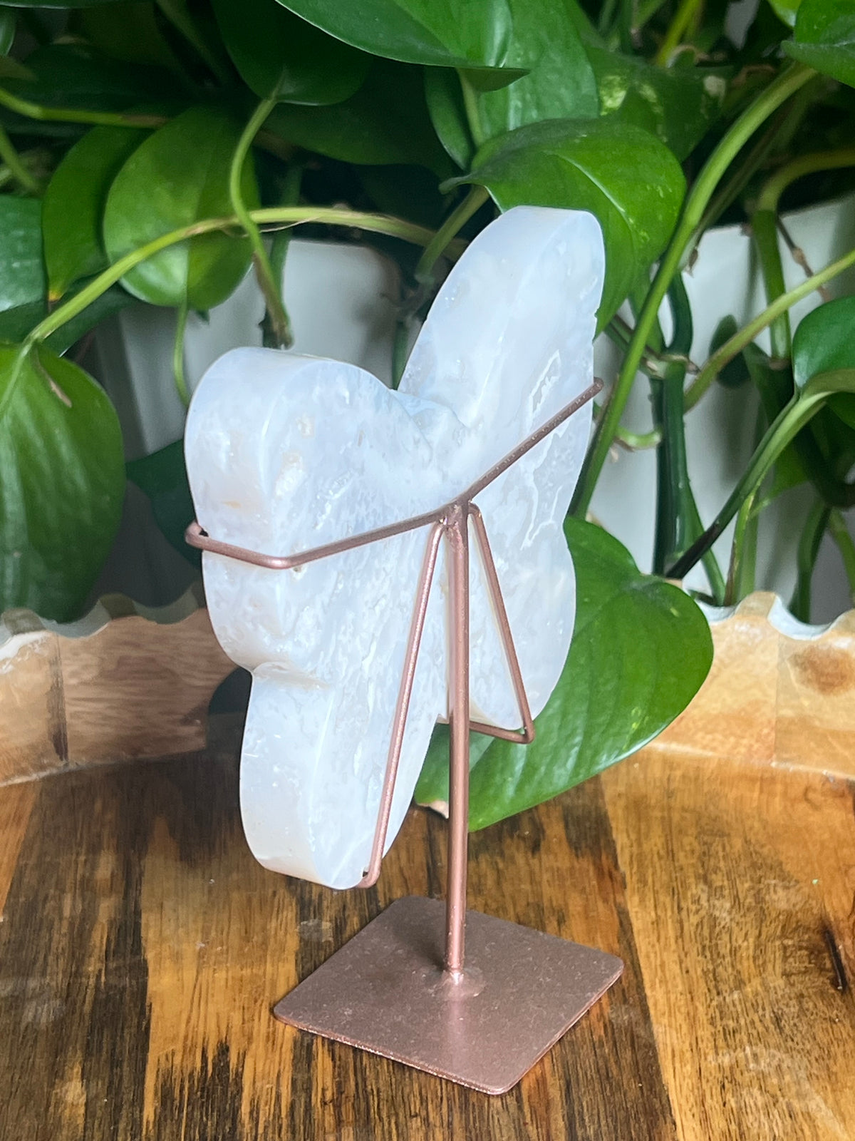 White Plume Agate Butterfly: TA