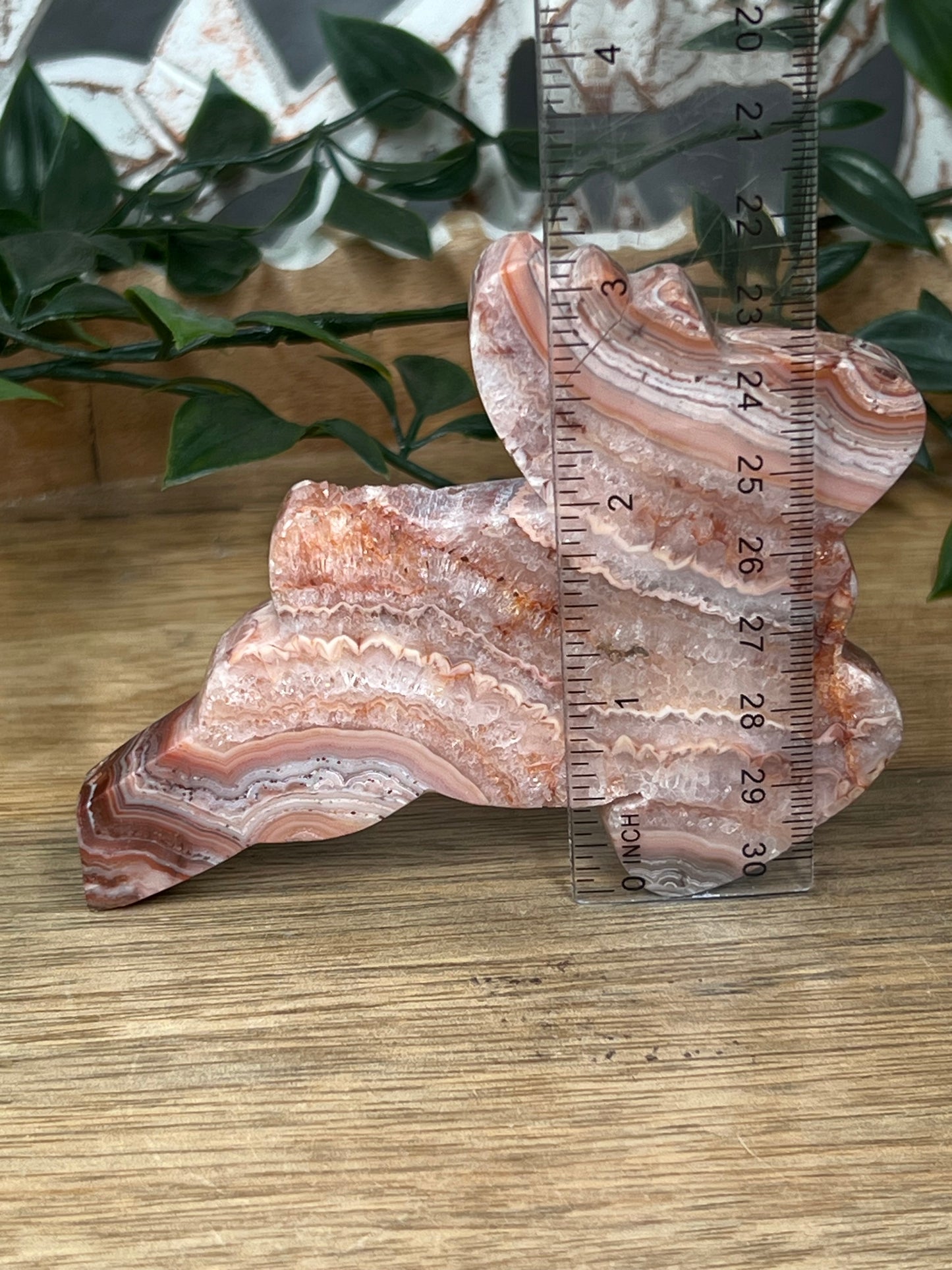 Pink Crazy Lace Agate Deer