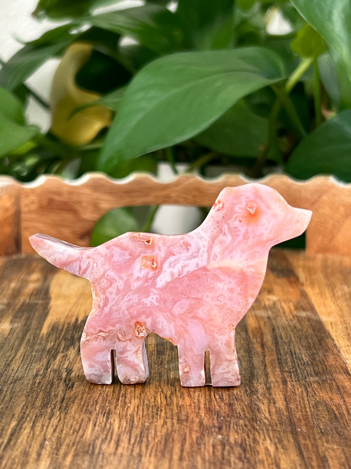 Pink Carnelian Dogs