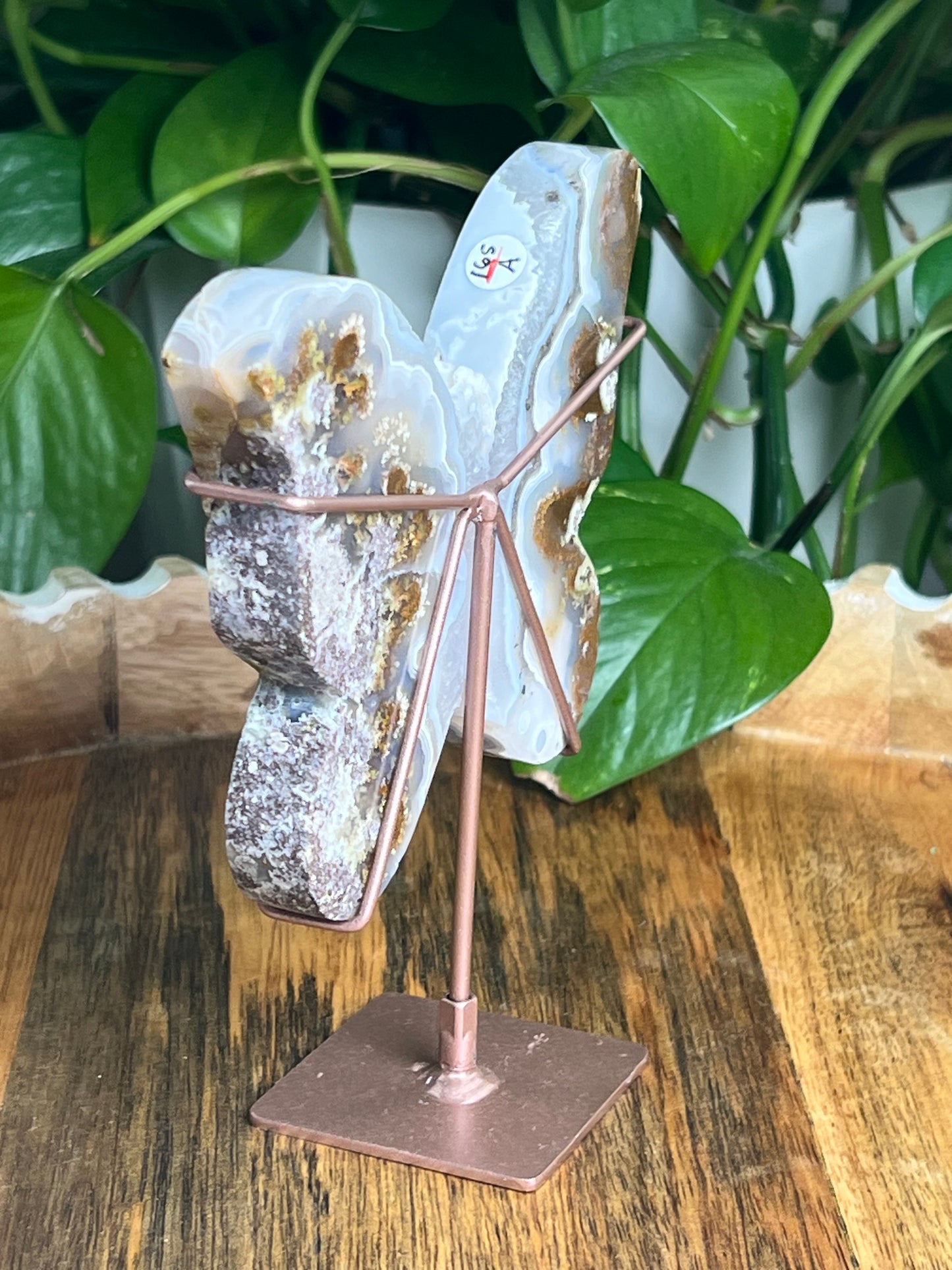 Scenic Moss Agate Butterfly: A