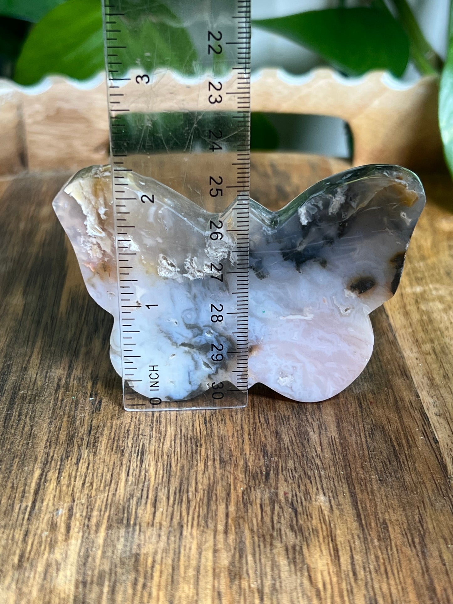 Rainbow Plume Agate Butterfly RD