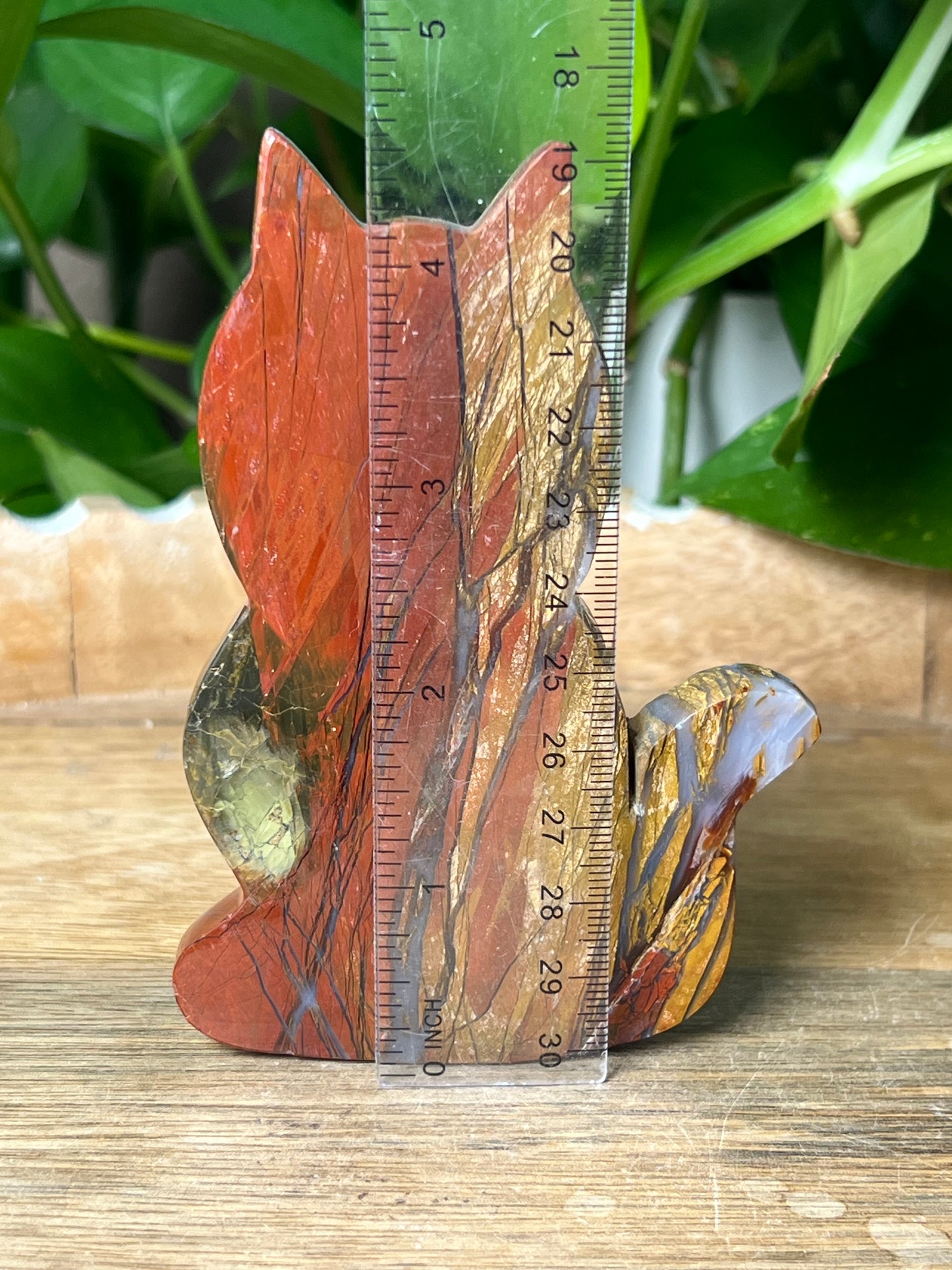 Mossy Red Jasper Cat