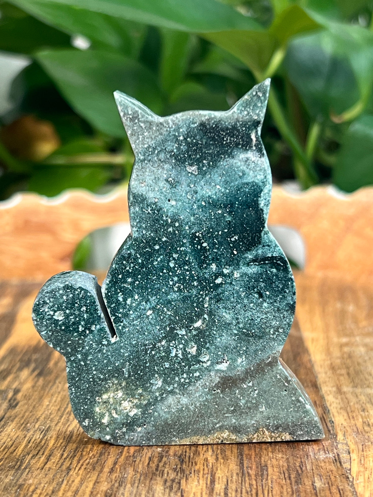 Blue Green Jasper Cats