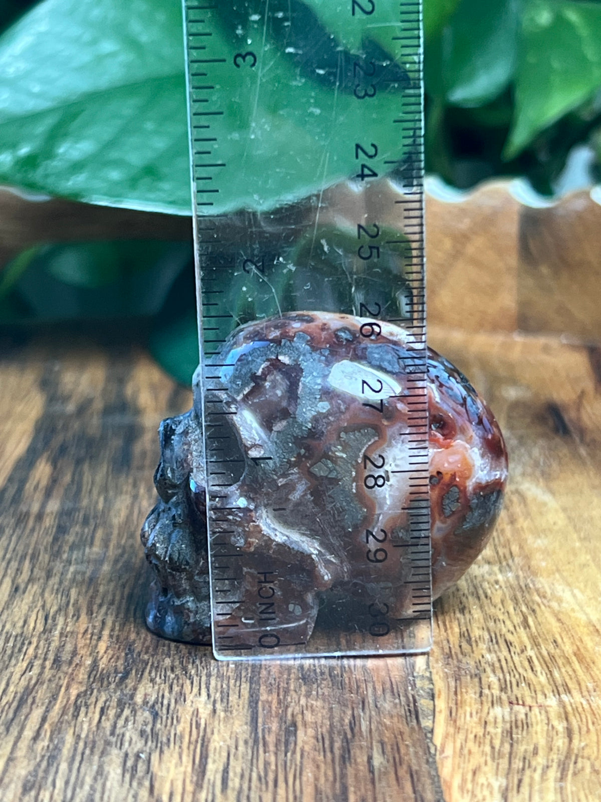 Marcasite Mini Skull: AC