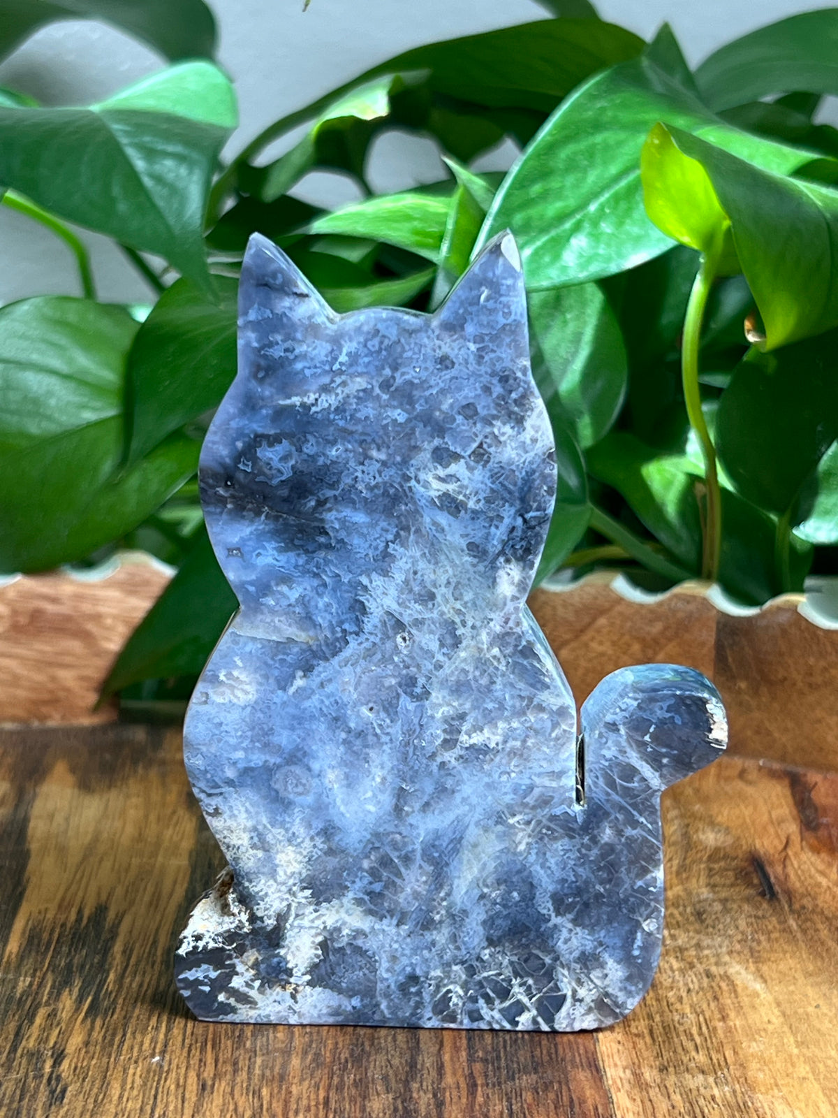 Blue Plume Agate Cat: MA